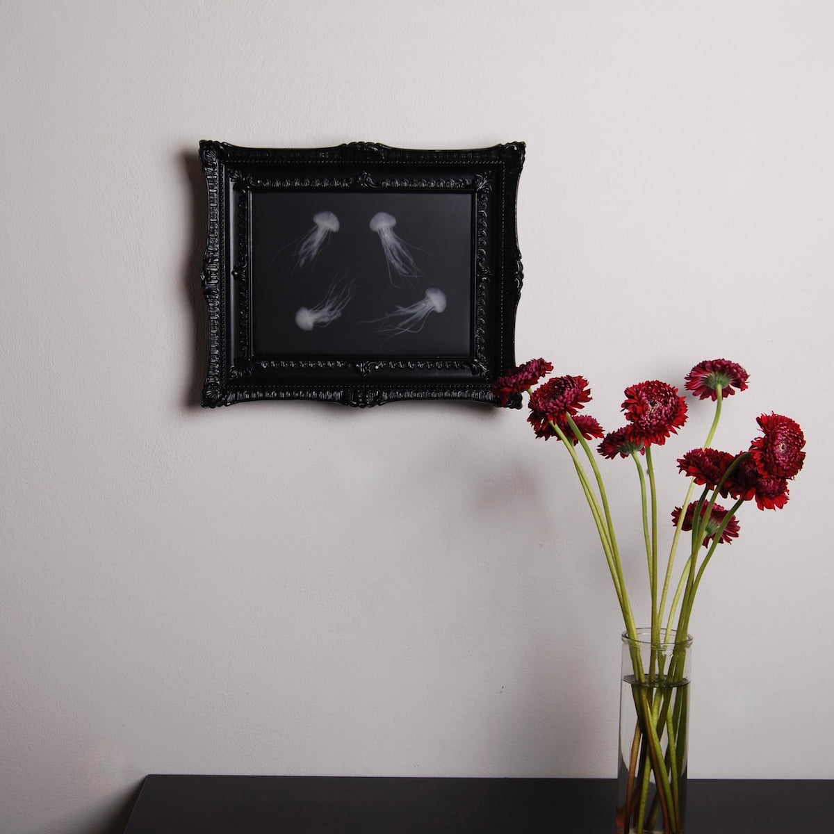quadro con sculture di meduse marine in cornice rettangolare intarsiata, appeso su un muro al di sopra di un tavolo nero con vaso di gerbere amaranto