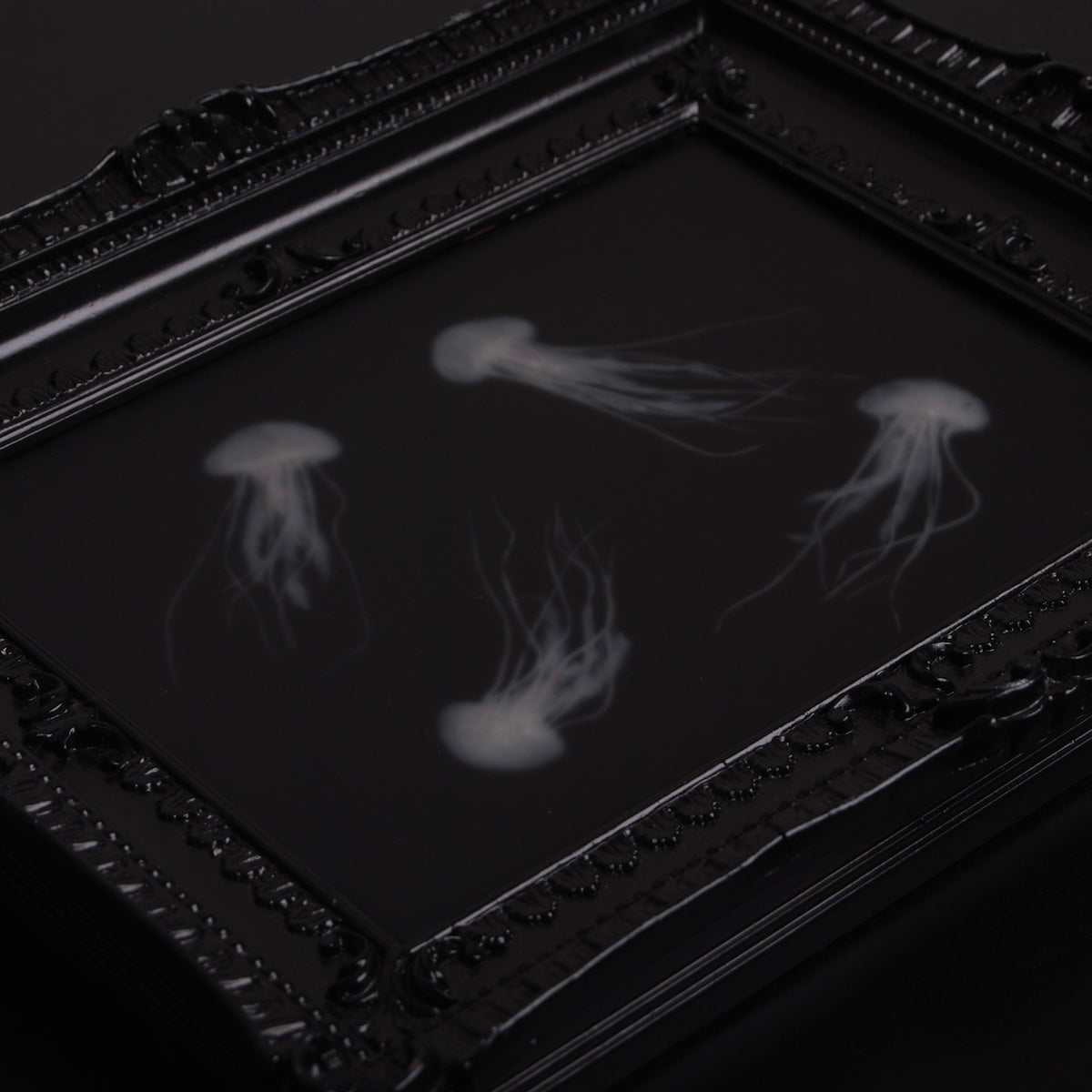 quadro con sculture di meduse marine in cornice rettangolare intarsiata, dettaglio delle meduse