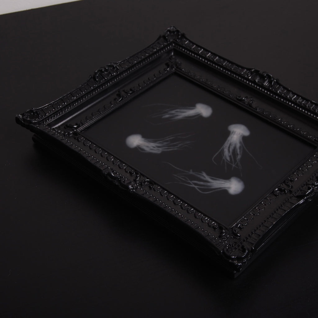 quadro con sculture di meduse marine in cornice rettangolare intarsiata, vista 3/4