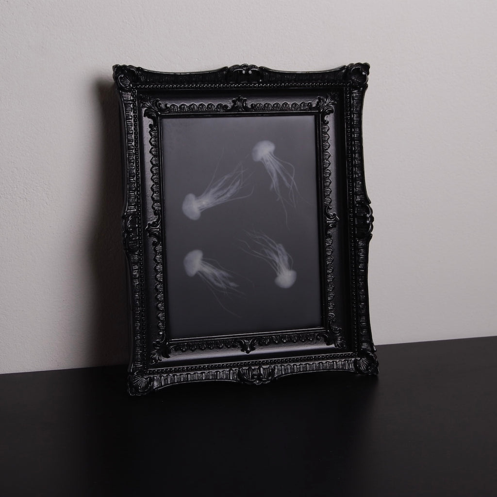 quadro con sculture di meduse marine in cornice rettangolare intarsiata, vista 3/4 verticale