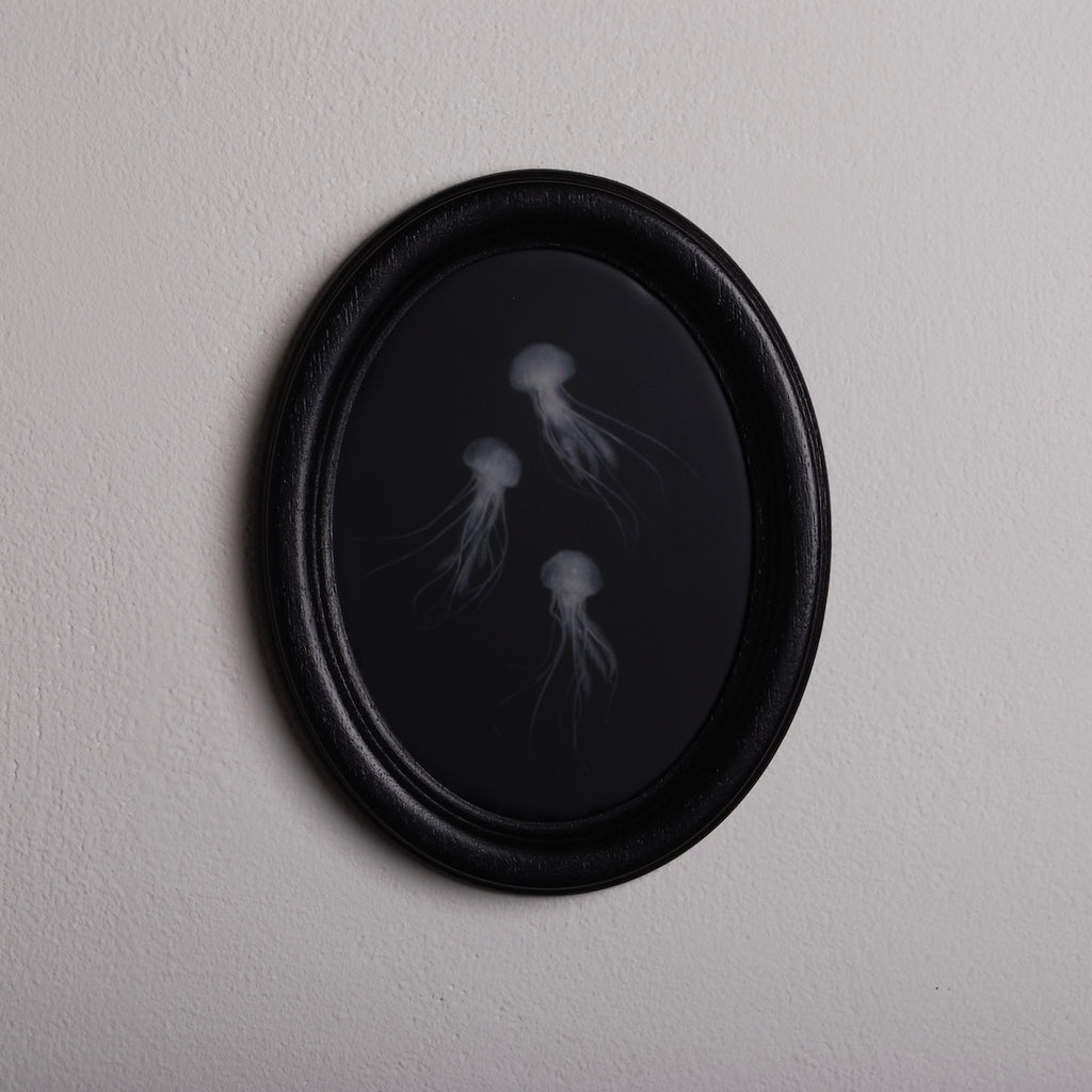 quadro ovale nero con 3 sculture meduse marine