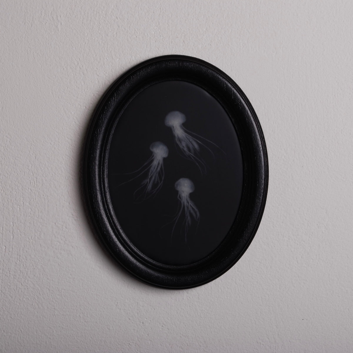 quadro ovale nero con 3 sculture meduse marine