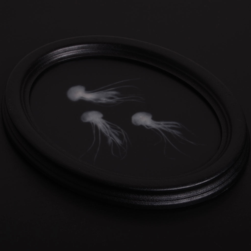 quadro ovale nero con 3 sculture meduse marine, vista 3/4