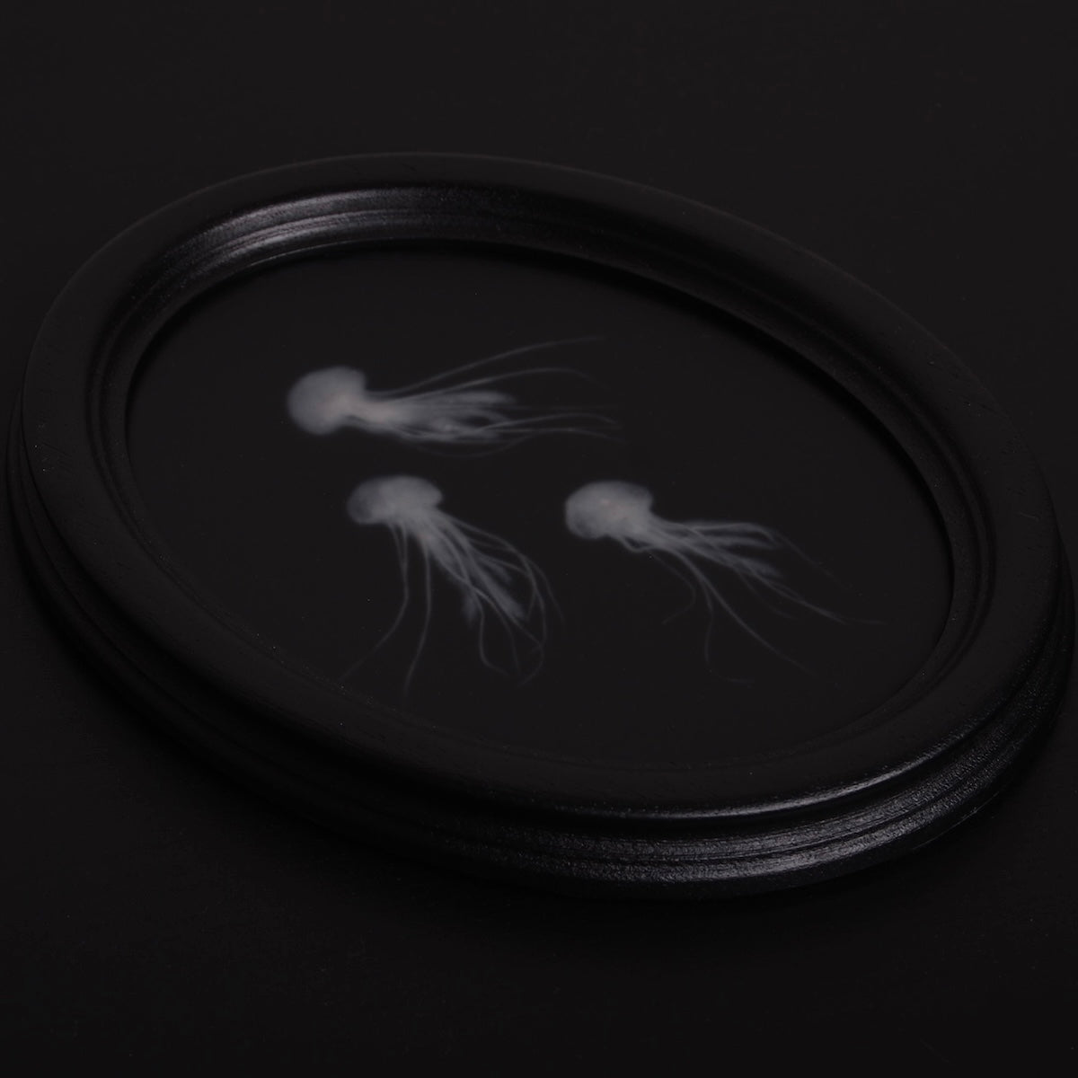 quadro ovale nero con 3 sculture meduse marine, vista 3/4