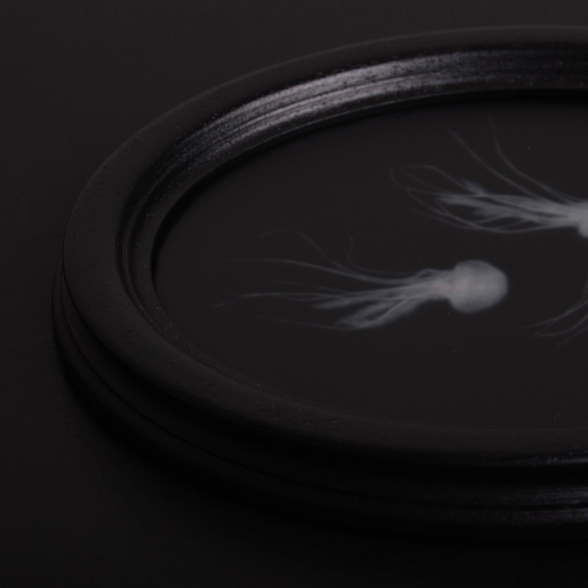 quadro ovale nero con 3 sculture meduse marine, vista laterale dettaglio medusa